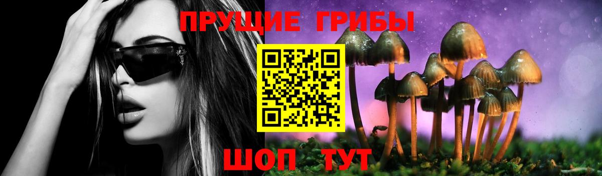 Псилоцибиновые грибы Psilocybine cubensis  Вход с VPN  Бахчисарай  Галлюциногенные грибы Magic Shrooms 